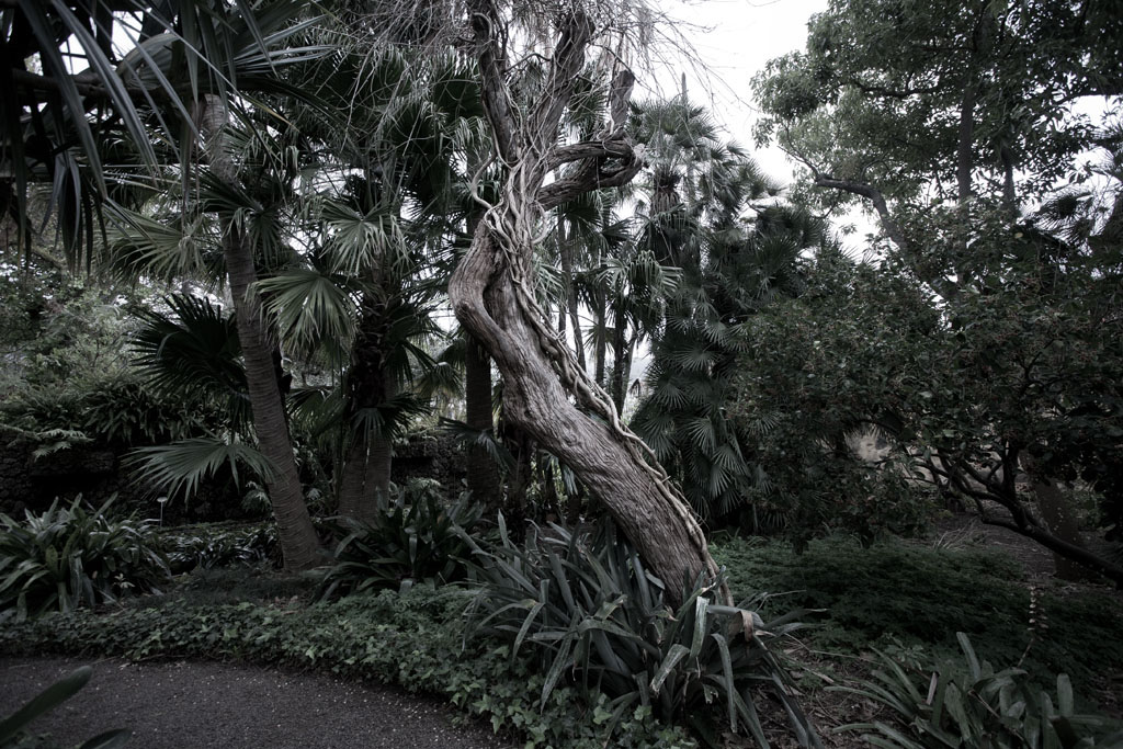 Botanischer Garten
